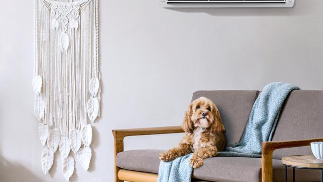 Dualcool Met Luchtreiniger Sfeerfoto 4