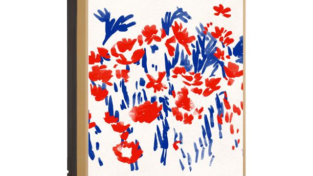 Rac Eu S3nm09el16a Ga1 5 0 Gallery 05 2010